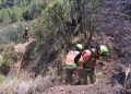El Consorcio de Bomberos de Valencia refuerza su operativo ante el riesgo extremo de incendios