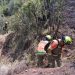 El Consorcio de Bomberos de Valencia refuerza su operativo ante el riesgo extremo de incendios