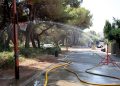 Valencia cierra la Devesa de El Saler por el riesgo extremo de incendios y calor