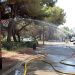 Valencia cierra la Devesa de El Saler por el riesgo extremo de incendios y calor
