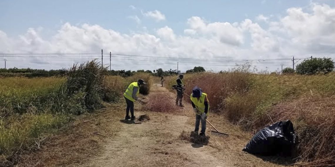 La brigada agrícola inicia los trabajos de mejora de los caminos rurales de La Pobla de Farnals