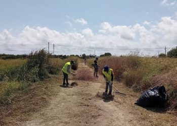 La brigada agrícola inicia los trabajos de mejora de los caminos rurales de La Pobla de Farnals