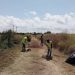 La brigada agrícola inicia los trabajos de mejora de los caminos rurales de La Pobla de Farnals