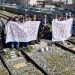 El Consell Jurídic Consultiu avala la postura de la Eliana y pide estudiar la recuperación del paso histórico de la estación