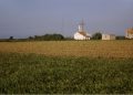 LA UNIÓ exige herramientas fitosanitarias efectivas para garantizar la viabilidad del cultivo del arroz frente a las plagas y enfermedades