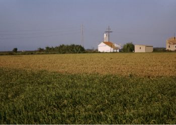 LA UNIÓ exige herramientas fitosanitarias efectivas para garantizar la viabilidad del cultivo del arroz frente a las plagas y enfermedades