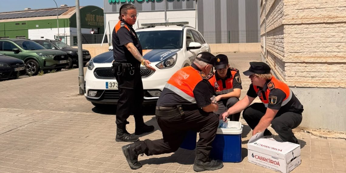 Protección Civil sale a la calle en La Pobla de Farnals para prevenir los efectos de la ola de calor
