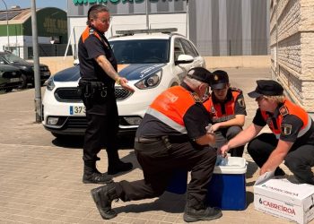 Protección Civil sale a la calle en La Pobla de Farnals para prevenir los efectos de la ola de calor