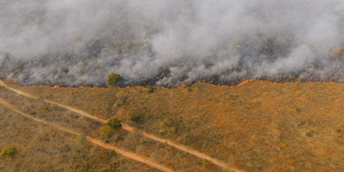 Los incendios forestales son cada vez más difíciles de controlar y obligan a reforzar la prevención desde el territorio