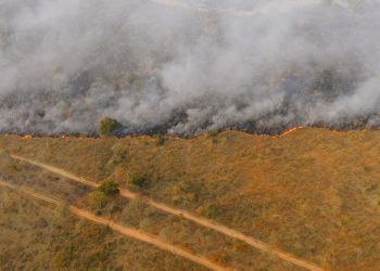Los incendios forestales son cada vez más difíciles de controlar y obligan a reforzar la prevención desde el territorio