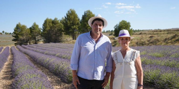 Marián Cano destaca en Ademuz el potencial del turismo de interior durante la Floración de la Lavanda