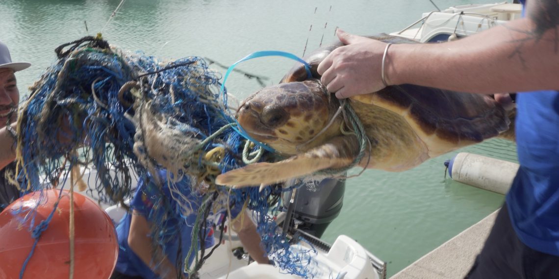 Rescatan en Puerto de Sagunto a una tortuga atrapada entre una boya y varios cabos
