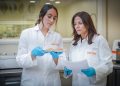 Nuevas proteínas, economía circular, tecnologías emergentes e IA centrarán la jornada de AINIA sobre alimentación del futuro