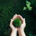 Startups por el Clima moviliza al ecosistema emprendedor para impulsar soluciones frente a la emergencia climática