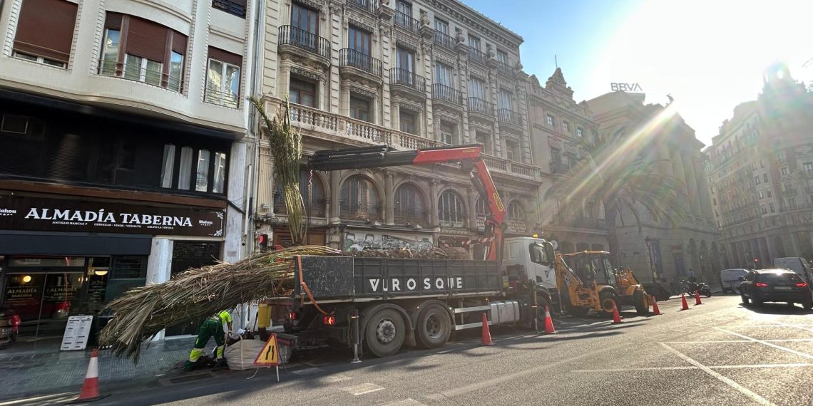 Valencia repone cinco palmeras datileras en la calle de les Barques