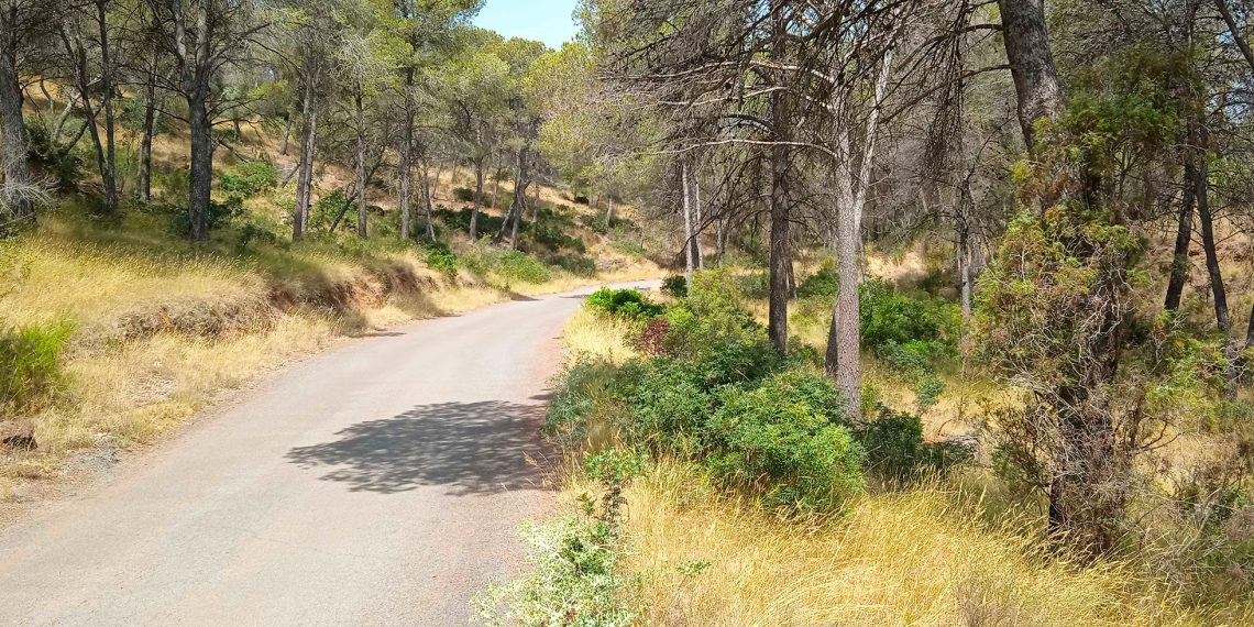 Sagunto proyecta un nuevo cortafuegos de 2,2 kilómetros en el camino del Povichol