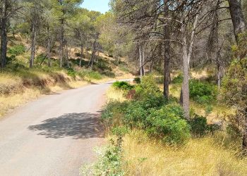 Sagunto proyecta un nuevo cortafuegos de 2,2 kilómetros en el camino del Povichol