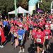 RunCáncer Valencia supera los 3,5 millones de euros para investigación contra el cáncer