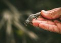 La Generalitat recupera una antigua cantera de la Sierra Calderona y la convierte en un refugio