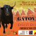 Los toros regresan a Gátova