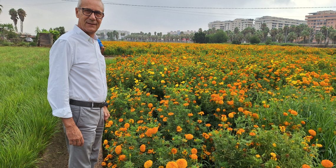 Valencia prepara la Batalla de Flores con 1,2 millones de clavellons y 30 carrozas
