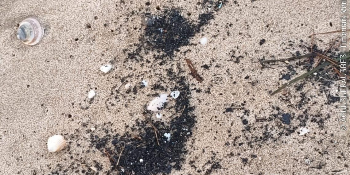 Valencia retira restos carbonizados aparecidos en las Playas del Sur