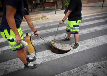 Torrent refuerza la desinsectación del alcantarillado para prevenir plagas durante el verano