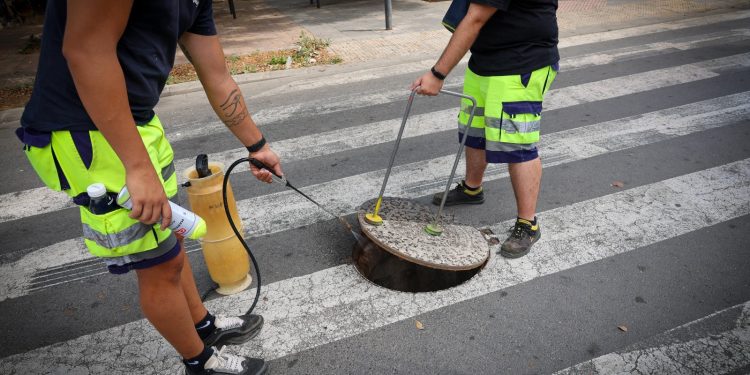 Torrent refuerza la desinsectación del alcantarillado para prevenir plagas durante el verano