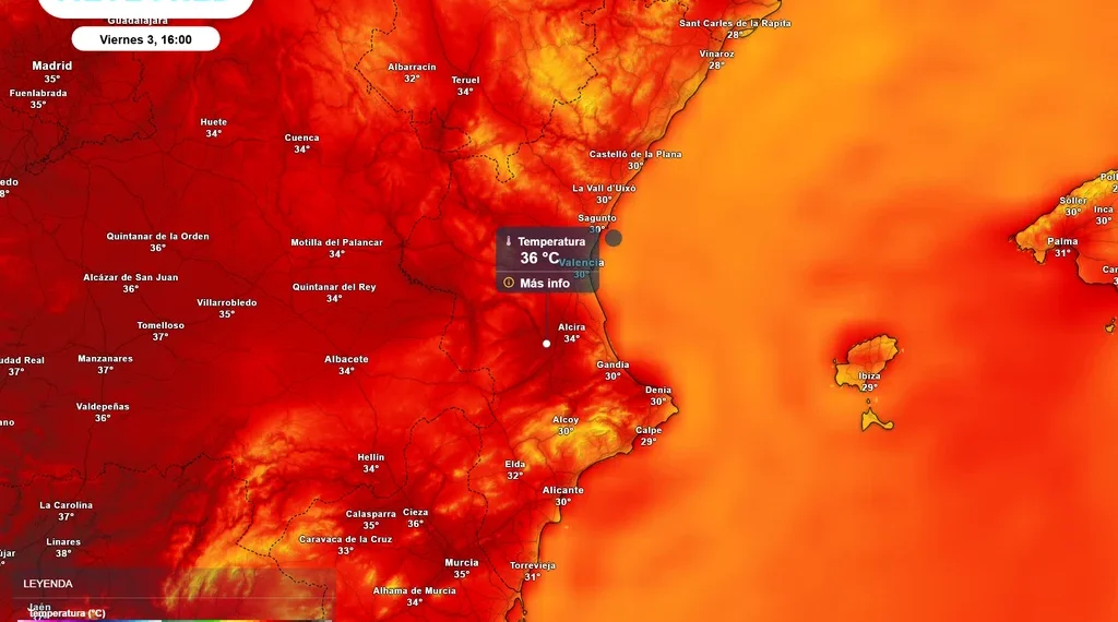 El calor vuelve a intensificarse: Valencia registrará hasta 6 ºC más este viernes