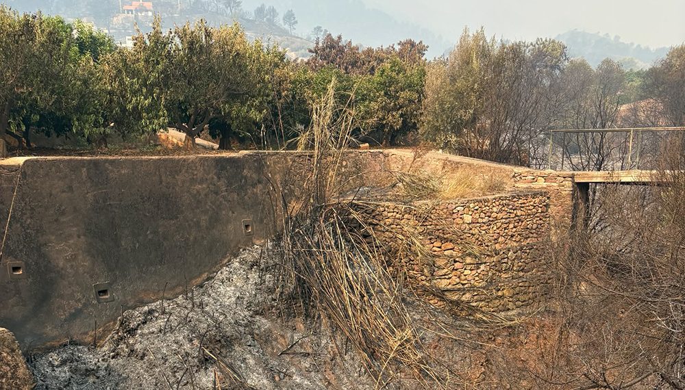 AVA-ASAJA exige a la CHJ limpiar barrancos que han propagado el fuego a los huertos