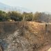 AVA-ASAJA exige a la CHJ limpiar barrancos que han propagado el fuego a los huertos