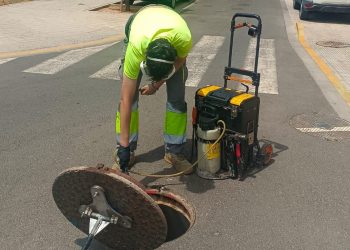 La Pobla de Farnals refuerza el control de plagas por el aumento de cucarachas y mosquitos debido al calor