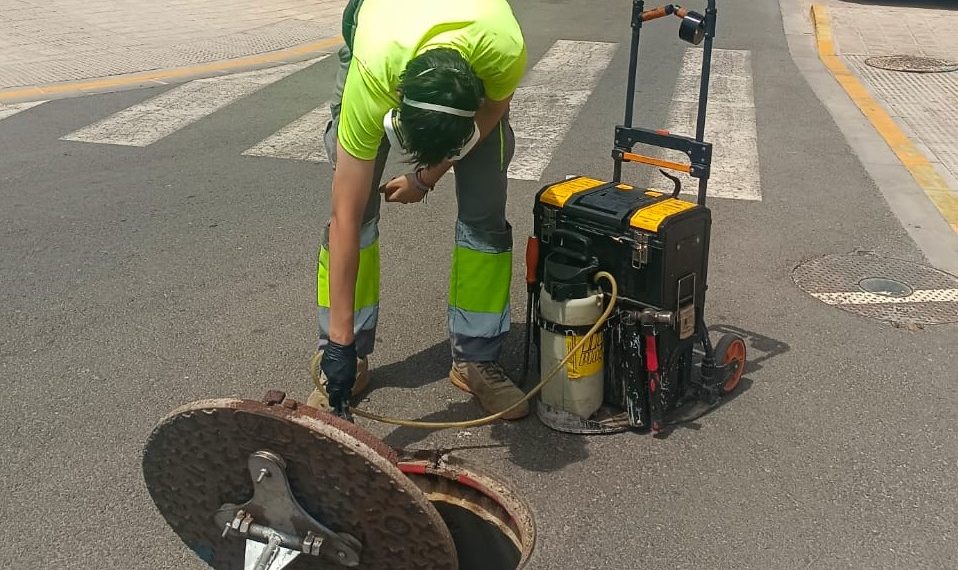 La Pobla de Farnals refuerza el control de plagas por el aumento de cucarachas y mosquitos debido al calor