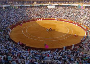 La Feria de Hogueras distingue a Morante y celebra los 50 años de alternativa de Esplá