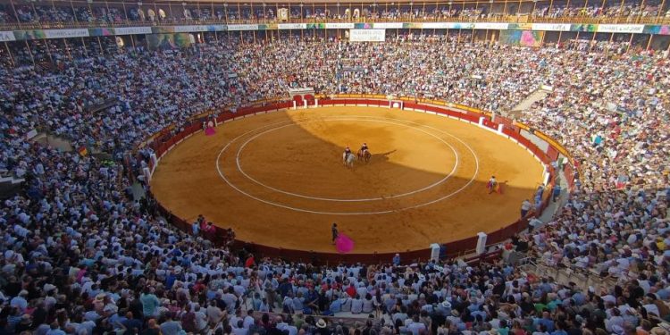 La Feria de Hogueras distingue a Morante y celebra los 50 años de alternativa de Esplá