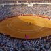 La Feria de Hogueras distingue a Morante y celebra los 50 años de alternativa de Esplá