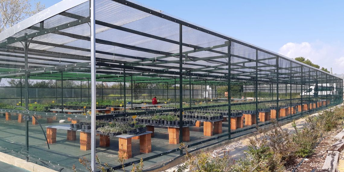 Los viveros de El Saler contarán con una nueva cámara climática para reproducir flora autóctona