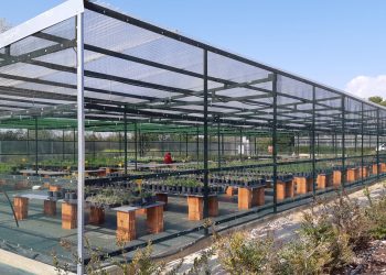 Los viveros de El Saler contarán con una nueva cámara climática para reproducir flora autóctona