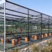 Los viveros de El Saler contarán con una nueva cámara climática para reproducir flora autóctona