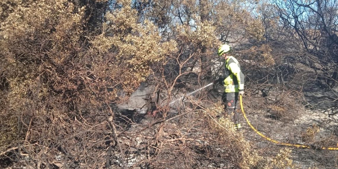 Reabren al tráfico las carreteras CV-500 y CV-401 de El Saler tras el incendio