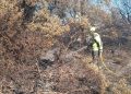 Reabren al tráfico las carreteras CV-500 y CV-401 de El Saler tras el incendio