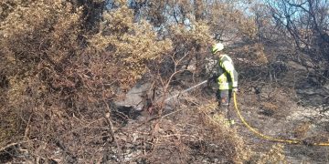 Reabren al tráfico las carreteras CV-500 y CV-401 de El Saler tras el incendio