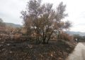 La Generalitat prepara un plan para recuperar la Sierra de Espadán tras los incendios