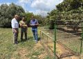 La Generalitat captura 228 jabalíes en Castellón mediante cajas trampa