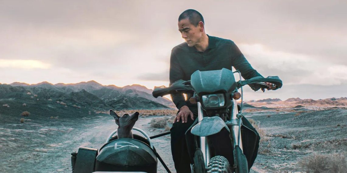 La Filmoteca d’Estiu proyecta ‘Black Dog’ los días 22 y 23 de agosto