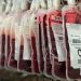La Comunitat Valenciana registra más de 20.800 donaciones de sangre este verano