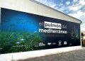 La Fundación Azul Marino lleva “El Pulmón del Mediterráneo” a Torreblanca para sensibilizar acerca de la importancia de la Posidonia oceanica