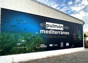 La Fundación Azul Marino lleva “El Pulmón del Mediterráneo” a Torreblanca para sensibilizar acerca de la importancia de la Posidonia oceanica