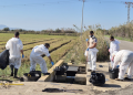 La Generalitat realiza 173 actuaciones de conservación en l’Albufera