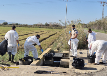 La Generalitat realiza 173 actuaciones de conservación en l’Albufera